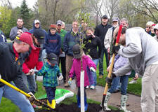 Group of people at tree planting event - digging soil