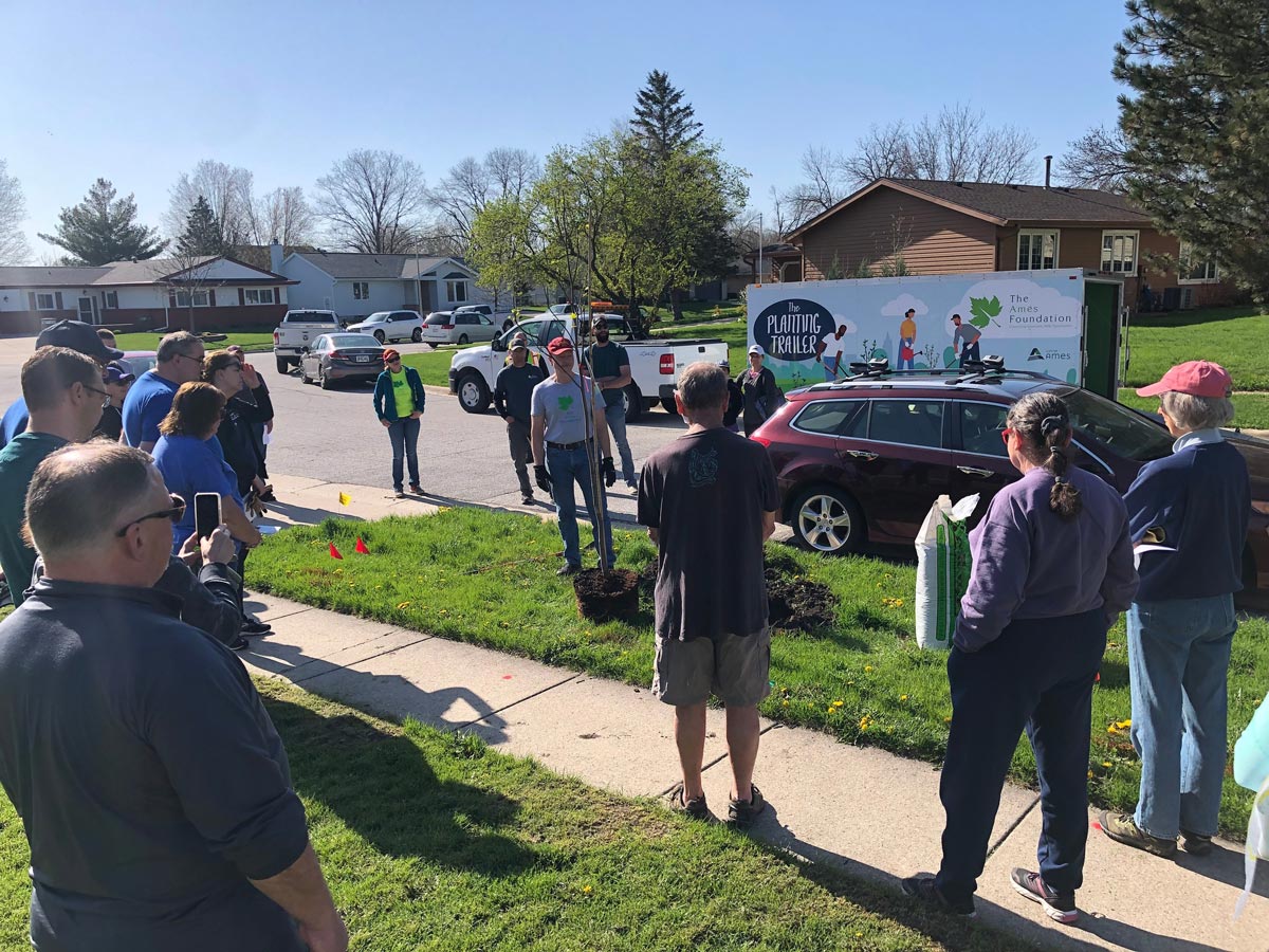 group of people standing around a tree at the tree planting event